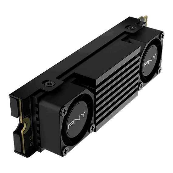PNY CS3150 - SSD - encrypted - 2 TB - inter | M280CS3150HS-2TB-RB
