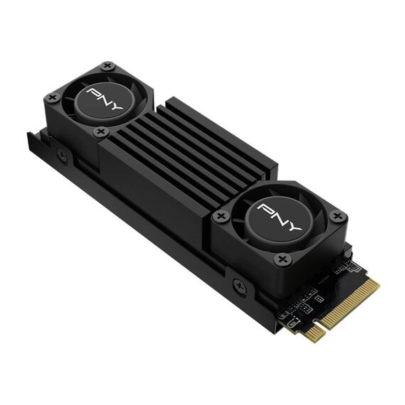 PNY XLR8 CS3150 - SSD - 2 TB - internal -  | M280CS3150XHS-2TB-RB