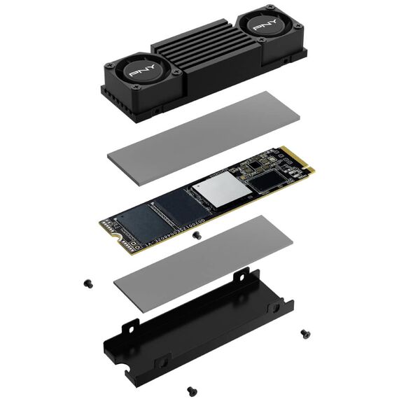 PNY XLR8 CS3150 - SSD - 2 TB - internal -  | M280CS3150XHS-2TB-RB