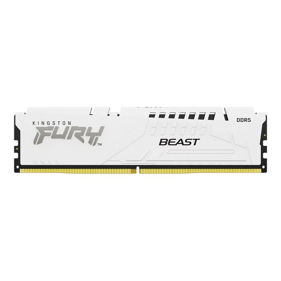 Kingston FURY Beast - DDR5 - module - 16 GB - DI | KF560C30BWE-16