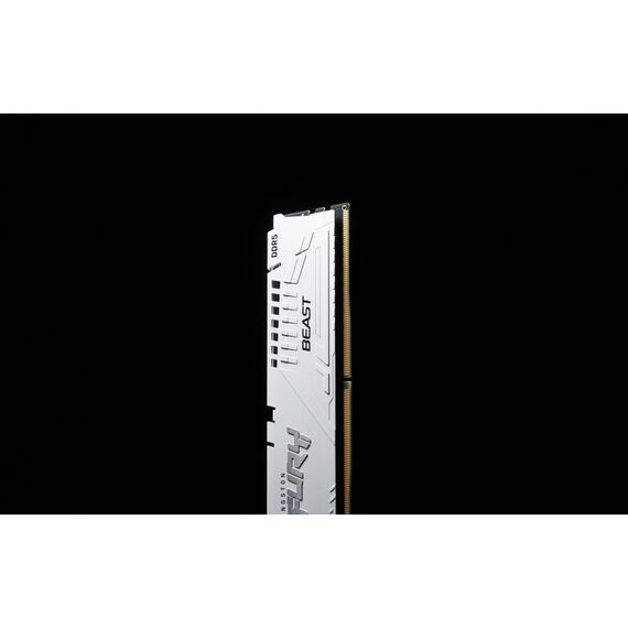 Kingston FURY Beast - DDR5 - module - 16 GB - DI | KF560C30BWE-16