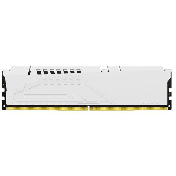 Kingston FURY Beast - DDR5 - module - 16 GB - DI | KF560C30BWE-16