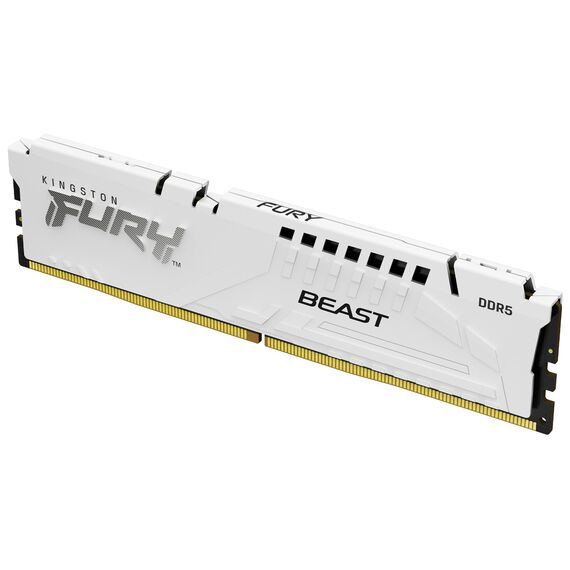 Kingston FURY Beast - DDR5 - module - 16 GB - DI | KF560C30BWE-16