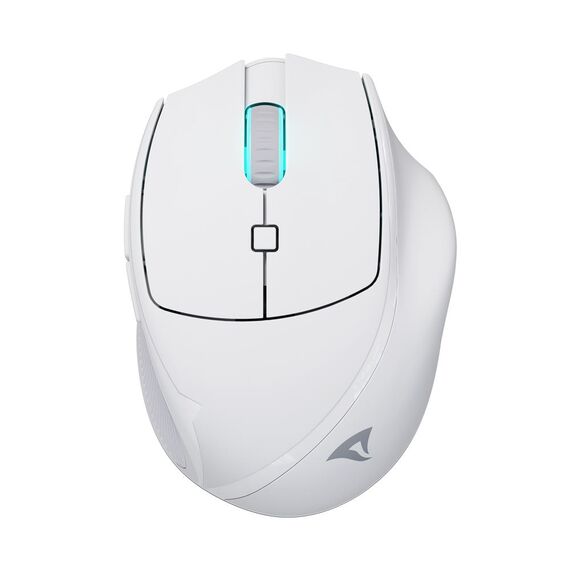 Sharkoon OfficePal M25W, Right-hand, Optical, RF  | 4044951039654