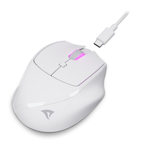 Sharkoon OfficePal M25W, Right-hand, Optical, RF  | 4044951039654