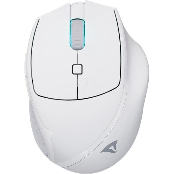Sharkoon OfficePal M25W, Right-hand, Optical, RF  | 4044951039654