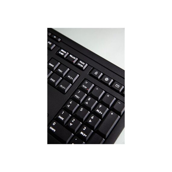 CHERRY STREAM DESKTOP COMFORT - Keyboard and mouse  | JD-8550GB-2