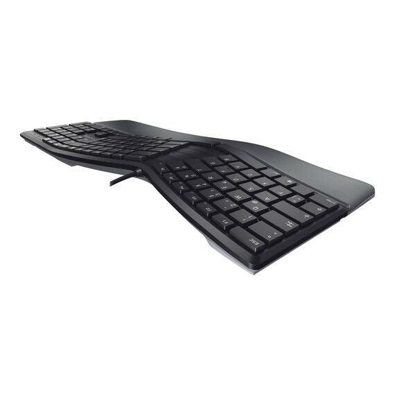 CHERRY KC 4500 ERGO - Keyboard - USB - QWERTY - Pan | JK-4500PN-2
