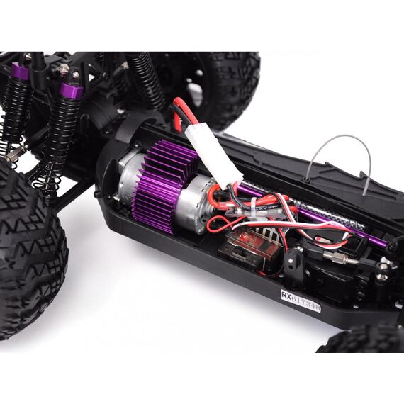 Amewi Crazist / Monster truck / 1 10 / Electric engine /  | 22097
