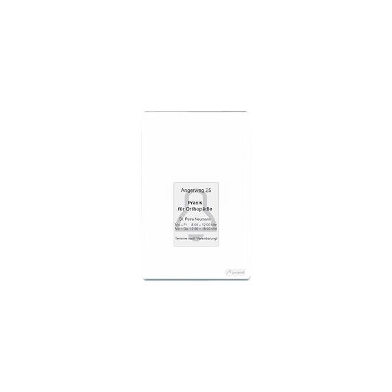 Auerswald TFS-Dialog 400 - Access control terminal with f | 90167