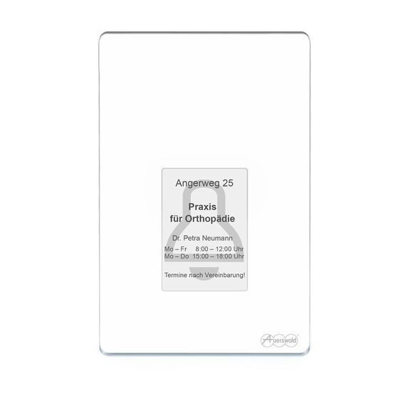 Auerswald TFS-Dialog 400 - Access control terminal with f | 90167