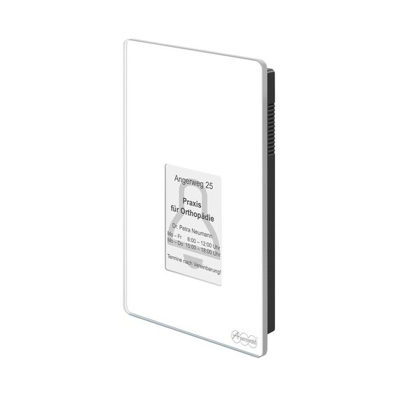 Auerswald TFS-Dialog 400 - Access control terminal with f | 90167