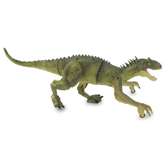 Jamara 410181 / 6 yr(s) / Green