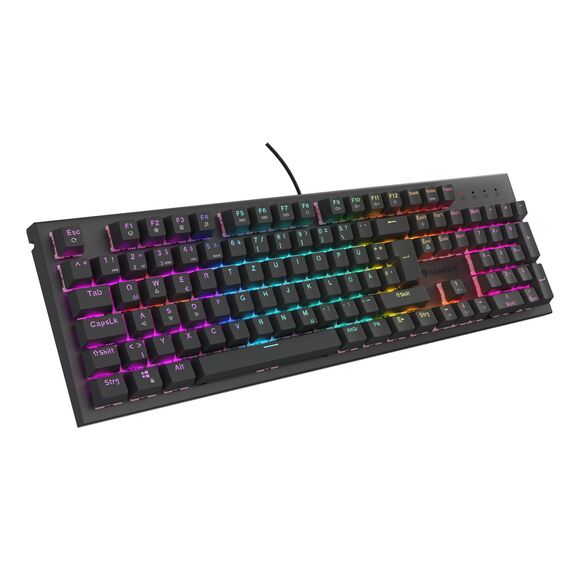 GENESIS NKG-2179 / Full-size (100%) / Straight / Wired / USB / Me