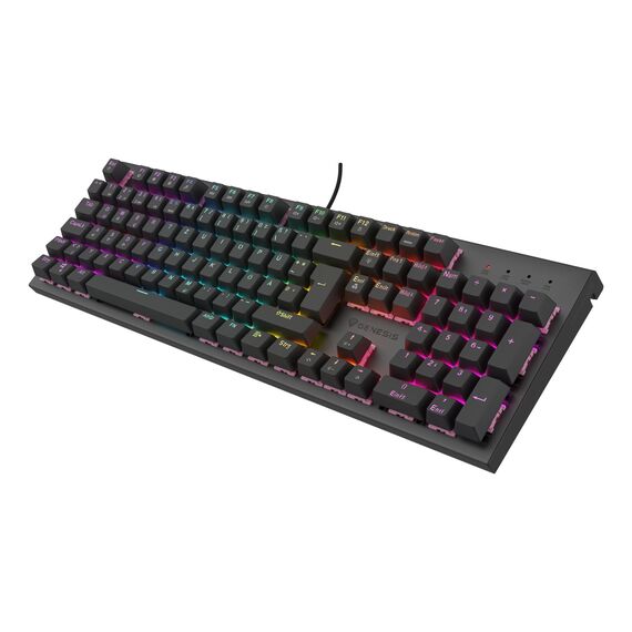 GENESIS NKG-2179 / Full-size (100%) / Straight / Wired / USB / Me