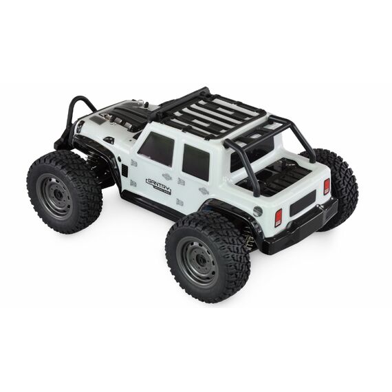 Amewi 22606 / Cross-country truck / 1 16 / Electric engine / 14 y