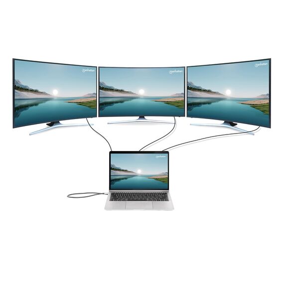 Manhattan 12-in-1 - Docking station - USB-C 3.2 Gen 1 -  | 190305