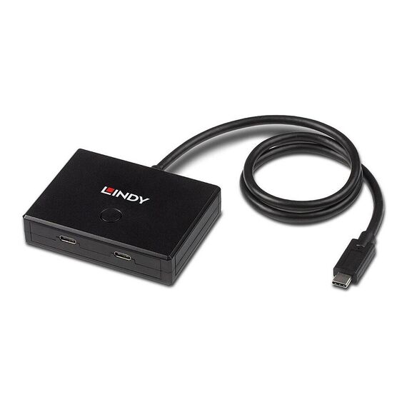 Lindy Hub 2 x USB 3.2 Gen 1 43329
