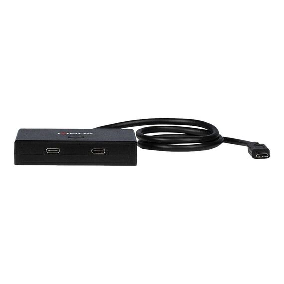 Lindy Hub 2 x USB 3.2 Gen 1 43329