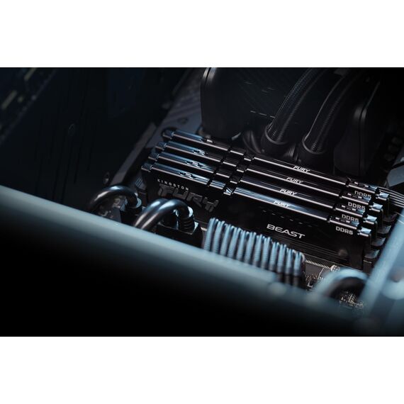 Kingston FURY Beast - DDR5 - kit - 64 GB 2 x 32 | KF560C30BBK2-64