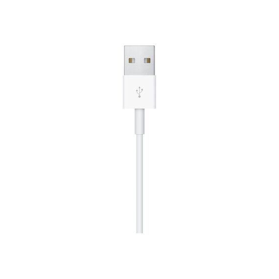 Apple Magnetic Smart watch charging cable USB male 1 MX2E2ZMA