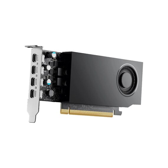 NVIDIA RTX A1000 - Graphics card - RTX A1000 | 900-5G172-2580-000