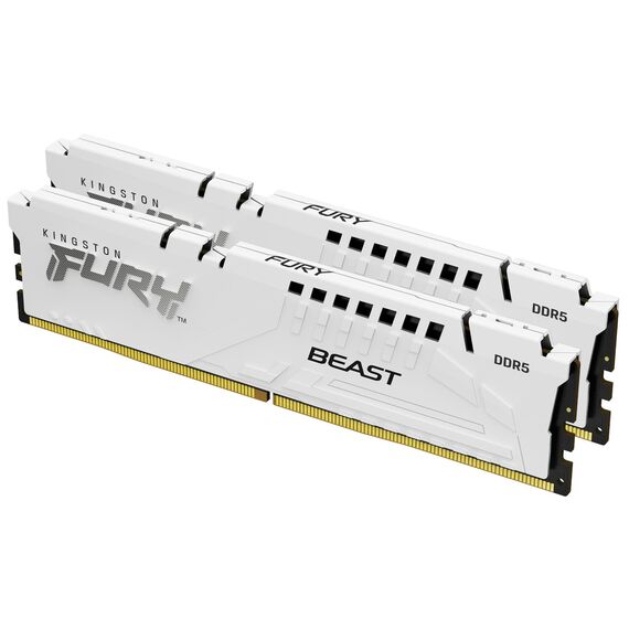 Kingston FURY Beast - DDR5 - kit - 32 GB 2 x  | KF560C36BWE2K2-32