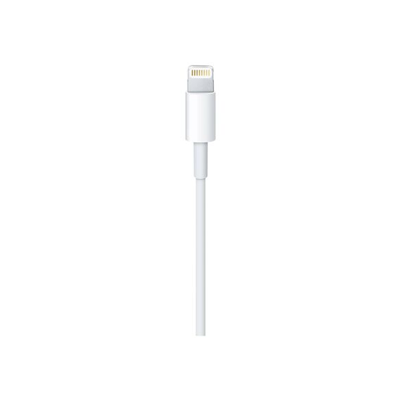 Apple Lightning cable Lightning male to USB male 2 MD819ZMA