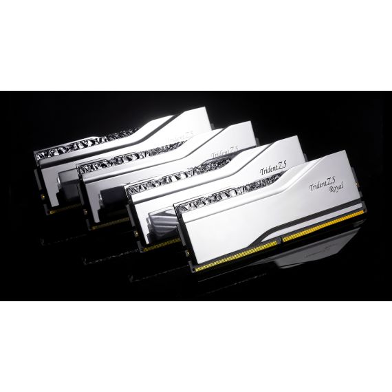 G.Skill F5-8000J4048F24GX2-TR5S / PC/Server / 48 GB / 2 x 24 GB /