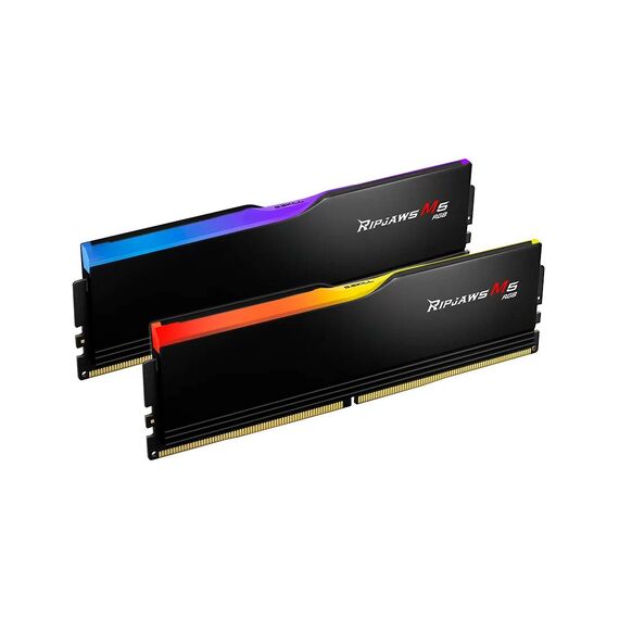 G.Skill  32GB (2x16GB) DDR5 DRAM  F56000J3636F16GX2RM5RK