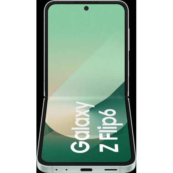 Samsung Galaxy Z Flip6 5G smartphone dualSIM SMF741BLGGEUB