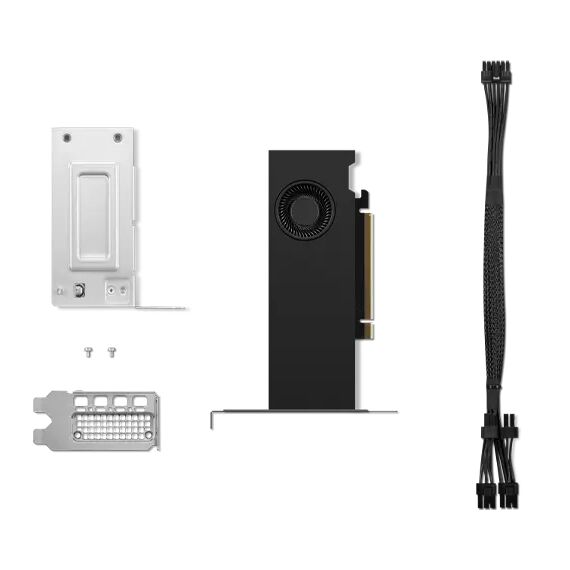 NVIDIA RTX 2000 Ada - Graphics card - NVIDIA RTX 200 | 4X61P69962
