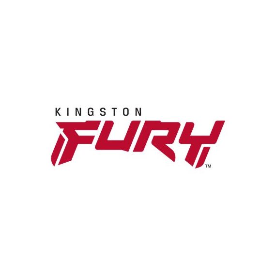 Kingston FURY Beast - DDR5 - module - 16 GB - DIM | KF564C32BB-16