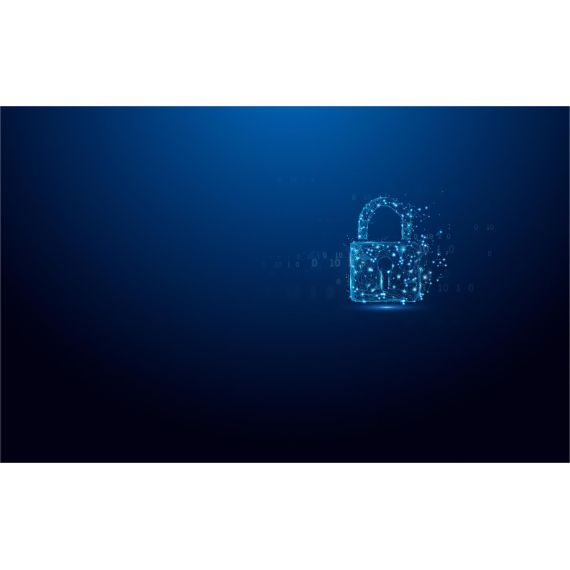 Kingston IronKey Vault Privacy 50 Series - USB fla | IKVP50/512GB