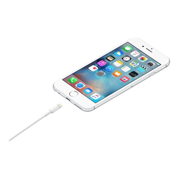 Apple - Lightning cable - Lightning male to USB male  | MUQW3ZM/A