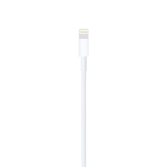 Apple - Lightning cable - Lightning male to USB male  | MUQW3ZM/A