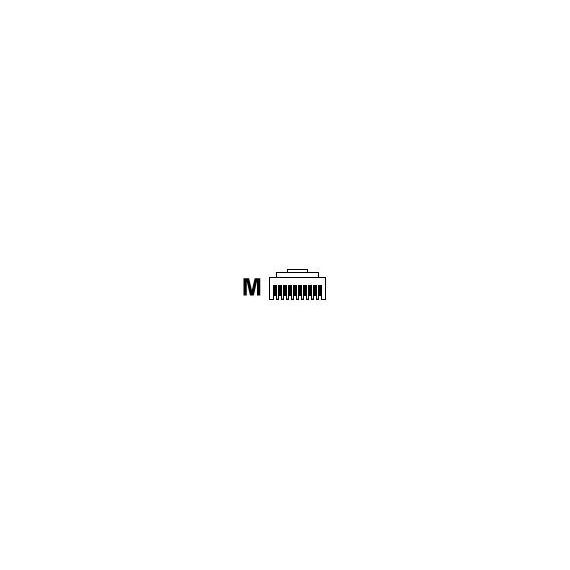 Datalogic CAB-461 - Serial cable - RJ-45 (10 pin) (M) - 3.6 m - c