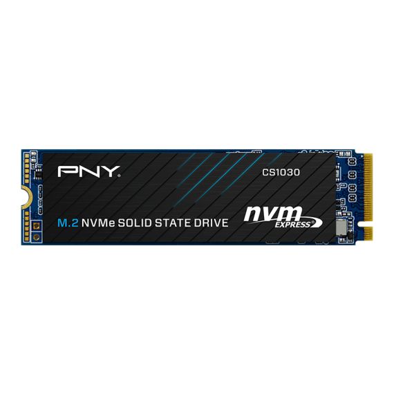 PNY CS1030 - SSD - 250 GB - internal - M.2 22 | M280CS1030-250-RB
