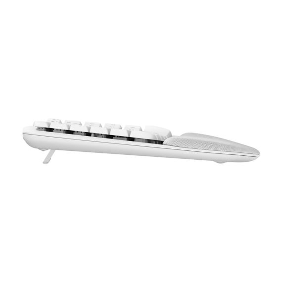 Logitech Ergo Series Wave Keys for Mac - Keyboard -  | 920-012406