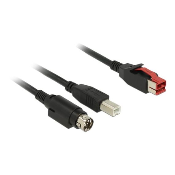 DeLOCK - PoweredUSB cable - USB PlusPower (24 V) (M) to U | 85489