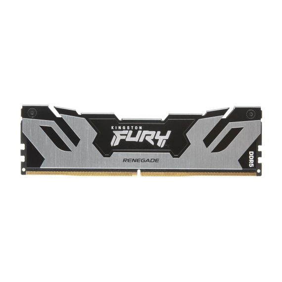 Kingston FURY Renegade Silver - DDR5 - kit - 96 | KF564C32RSK2-96