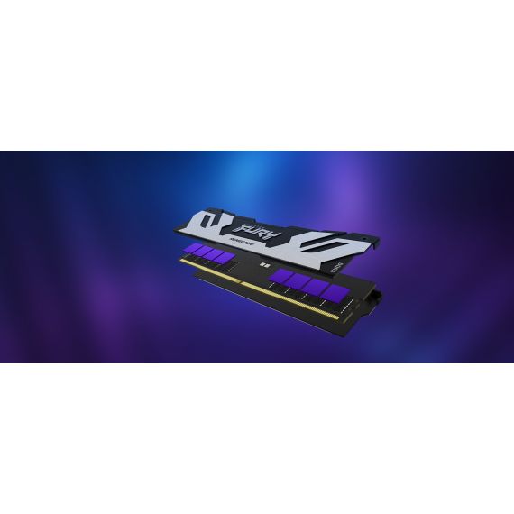 Kingston FURY Renegade Silver - DDR5 - kit - 96 | KF564C32RSK2-96