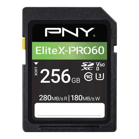 PNY EliteX-PRO60 - Flash memory card - 256 | P-SD256V60280EXP6-GE
