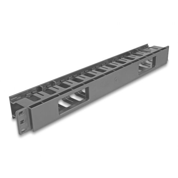 Delock - Rack cable management panel - with 2 openings, p | 67021