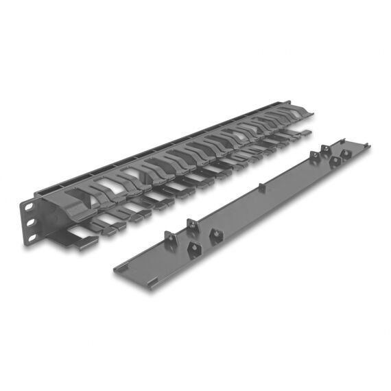 Delock - Rack cable management panel - with 2 openings, p | 67021