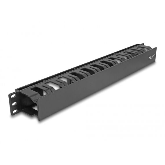 Delock - Rack cable management panel - with 2 openings, p | 67021