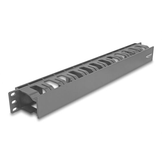 Delock - Rack cable management panel - with 2 openings, p | 67021