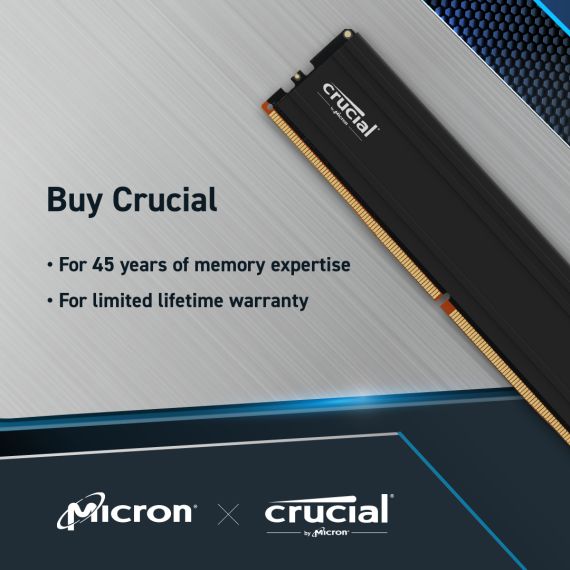 Crucial - DDR5 - kit - 48 GB 2 x 24 GB - DIMM 28 | CP2K24G60C48U5