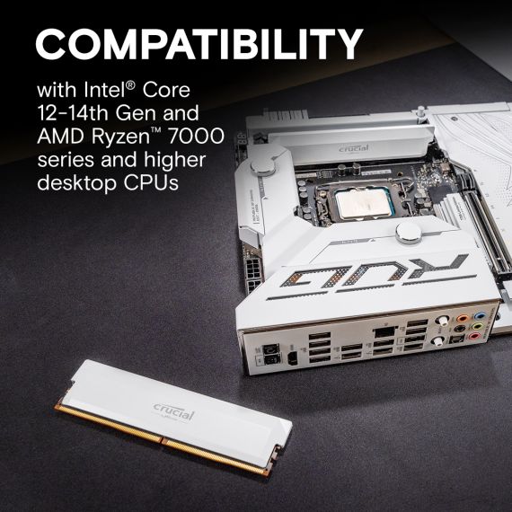 Crucial Pro - Overclocking Edition - DDR5 - kit | CP2K16G60C36U5W