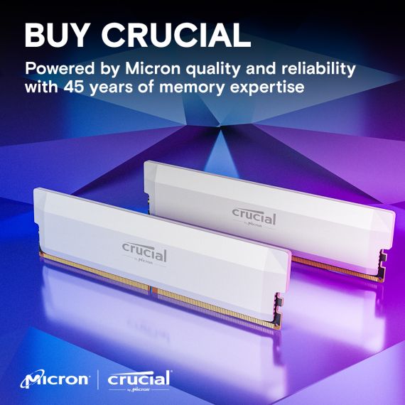 Crucial Pro - Overclocking Edition - DDR5 - kit | CP2K16G60C36U5W